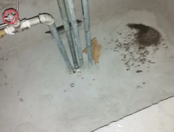 辛集卫生间测漏水价格明细